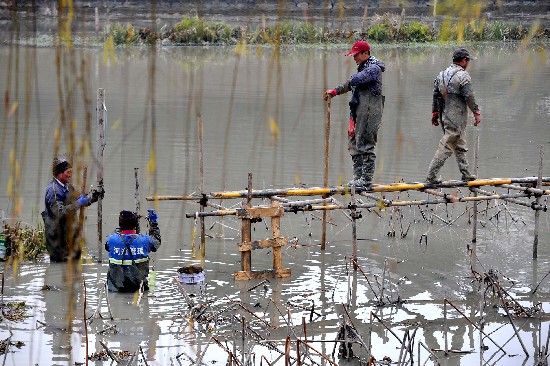 ��ˮƽ̨����